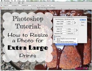 Photoshop Tutorial: How to Resize a Photo for Extra Large Prints | {Five Heart Home}