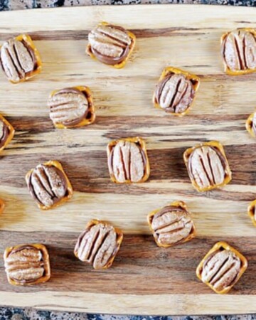 cropped-Pretzel-Turtles-by-Five-Heart-Home_700pxAerial.jpg