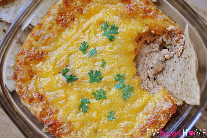 aerial view of Chicken Enchilada Dip with chip stuck in corner