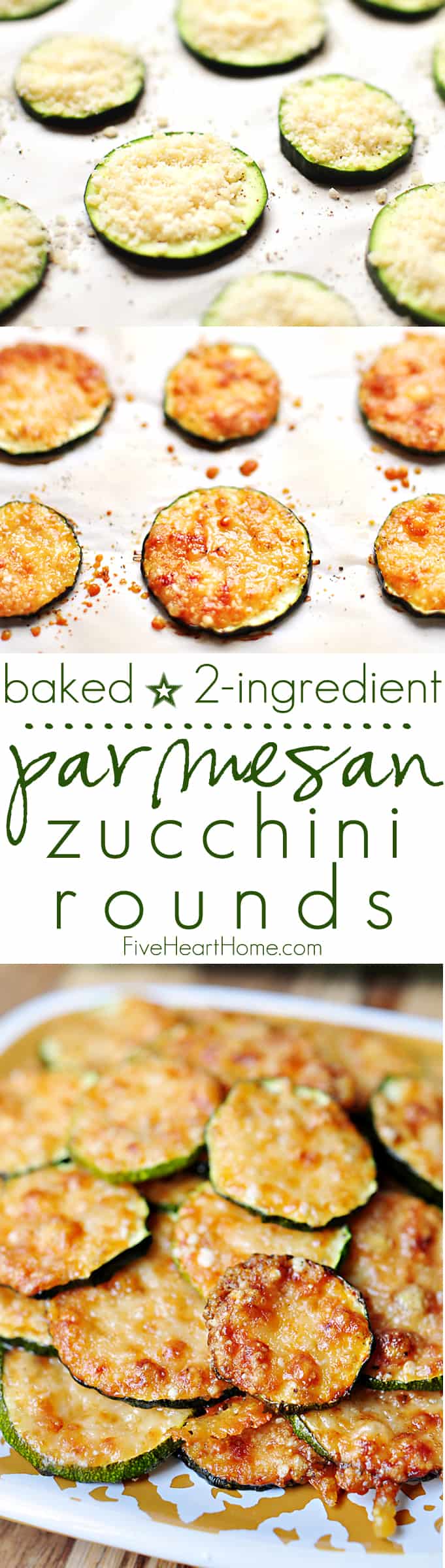 Zucchini Recipes