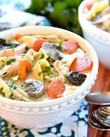 The BEST Slow Cooker Chicken Noodle Soup ~ wholesome and easy to make, this crock pot soup is extra flavorful thanks to a few secret ingredients...and it's the perfect get-well-soon recipe for making it through cold and flu season! | FiveHeartHome.com