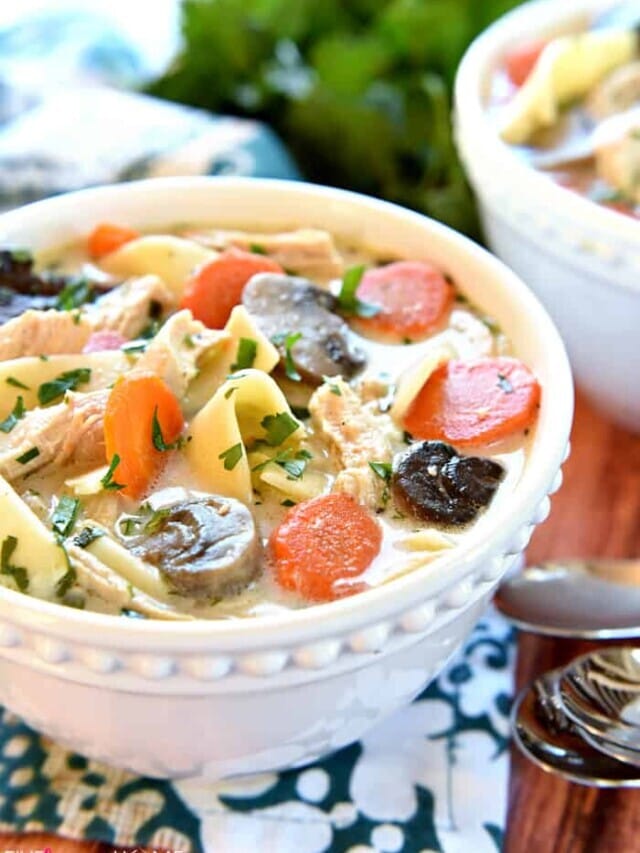 Slow Cooker Chicken Noodle Soup