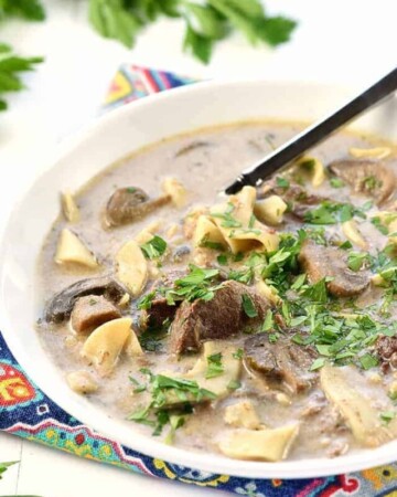 Slow Cooker Beef Stroganoff Soup in a bowl.