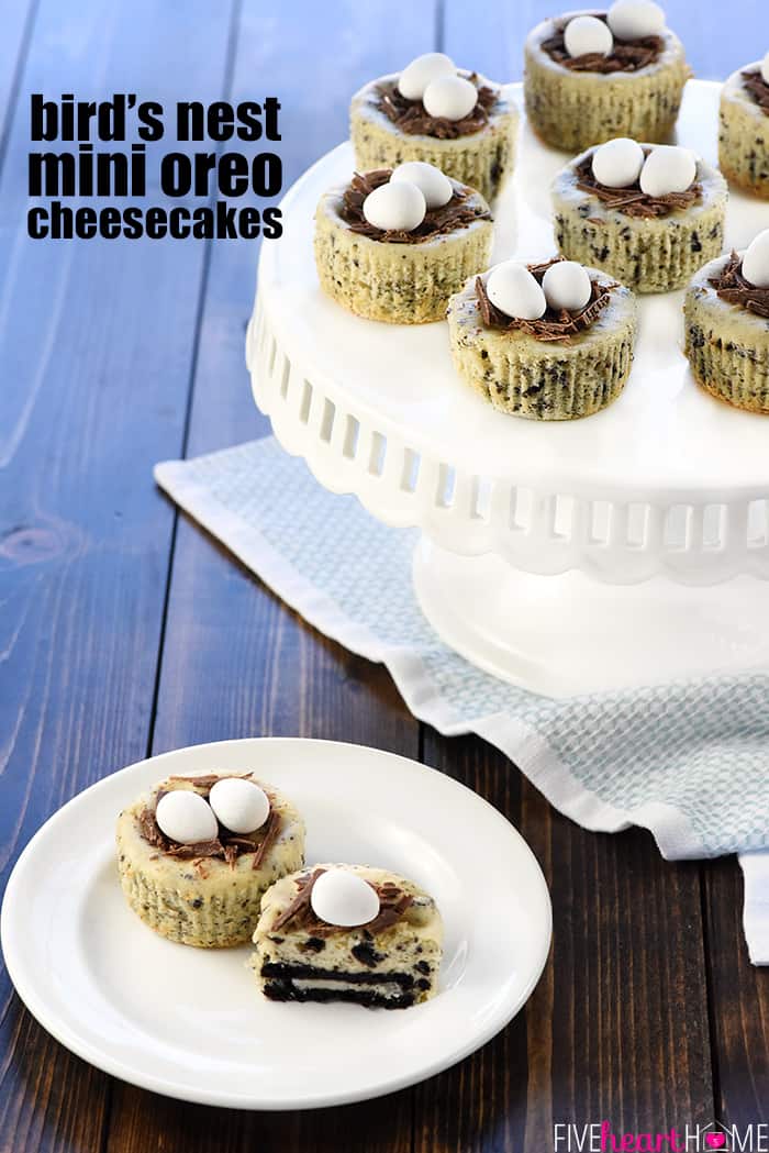 Bird's Nest Mini Oreo Cheesecakes | Easter Dessert Recipe ~ simple cheesecake filling is studded with Oreos, baked in muffin pans, and topped with chocolate shavings and candy eggs for a fun, easy treat that's perfect for spring! | FiveHeartHome.com