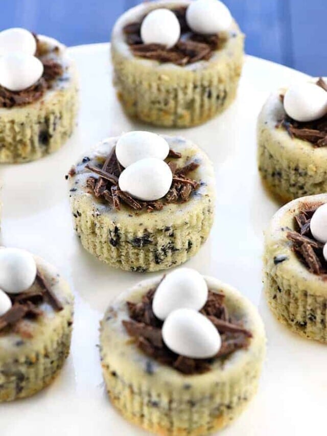 Bird's Nest Mini Oreo Cheesecakes