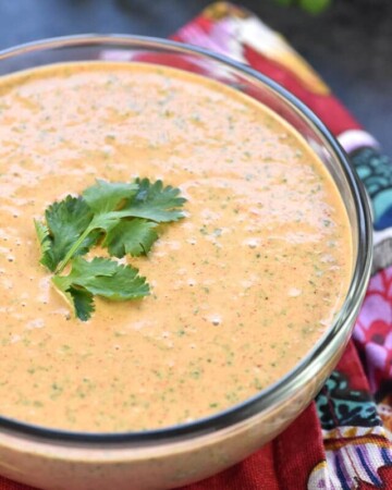 Creamy Salsa Dip in a bowl.
