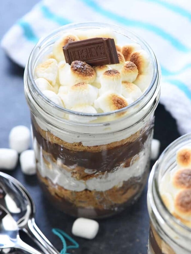 Delectable + CUTE Mini S'mores Trifles