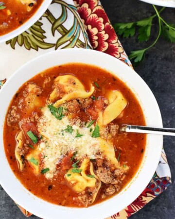 cropped-20-Minute-Lasagna-Tortellini-Soup-Recipe-by-Five-Heart-Home_700pxAerial3.jpg