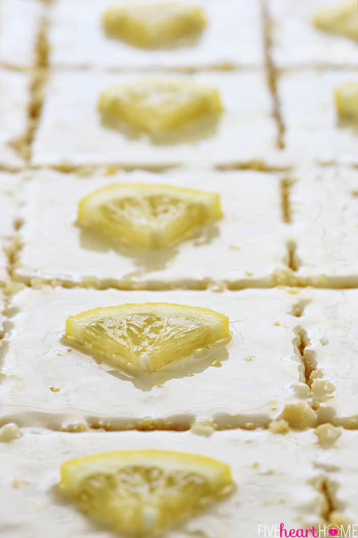 Lemon cake sliced in sheet pan with decorative lemon wedges on top.
