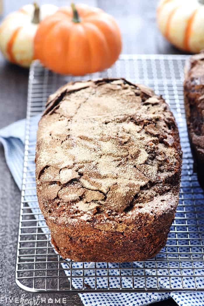 Best Pumpkin Bread Recipe