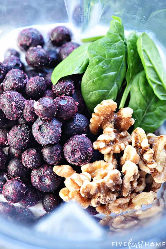 brain healthy ingredients in a blender