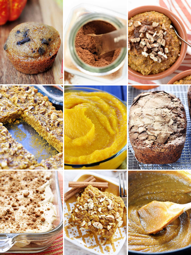 THE BEST PUMPKIN RECIPES