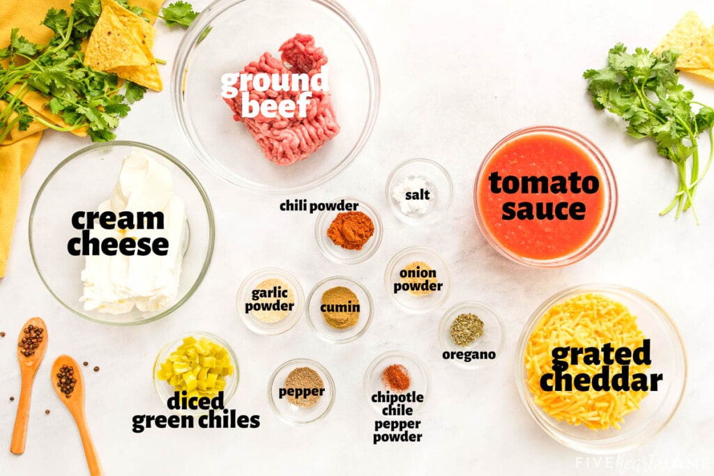 Labeled ingredients to make Beef Enchilada Dip recipe.
